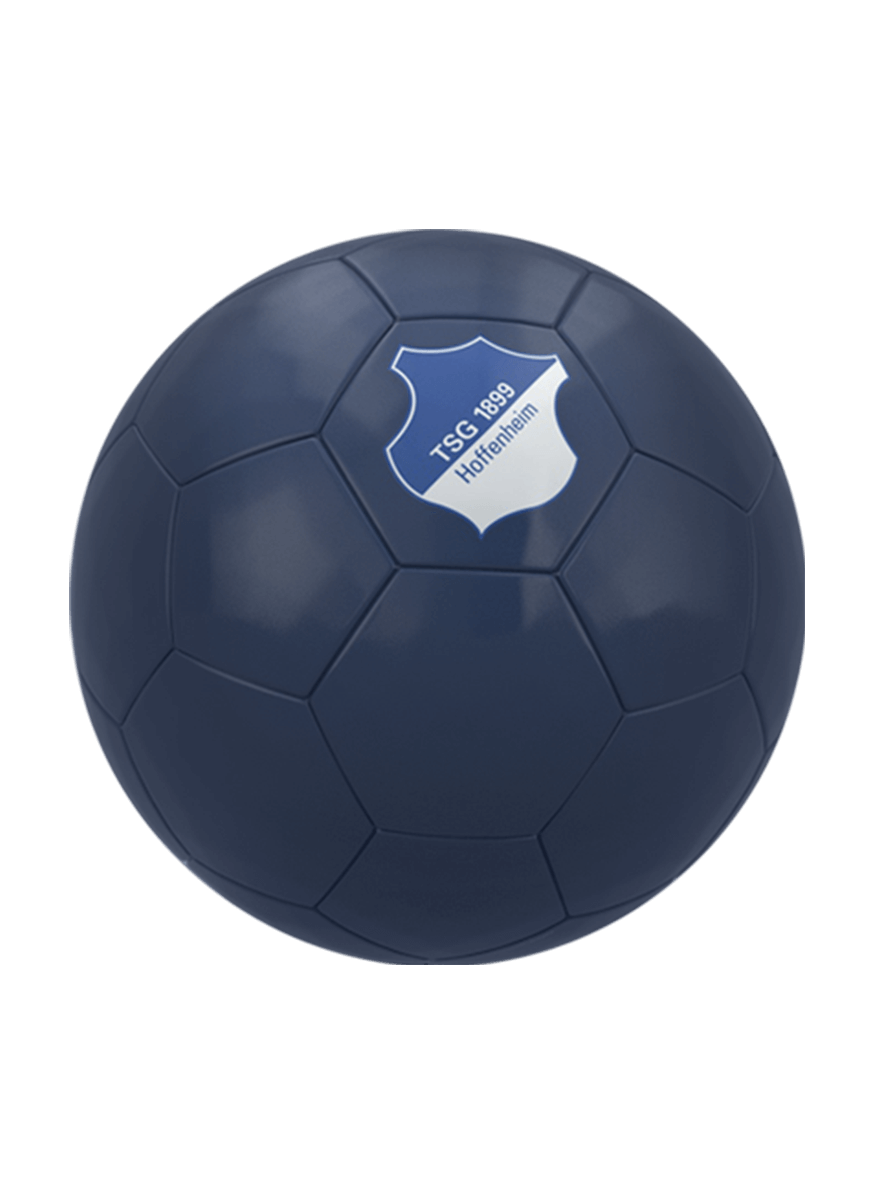 TSG Fußball Logo TSG Fußball Logo
