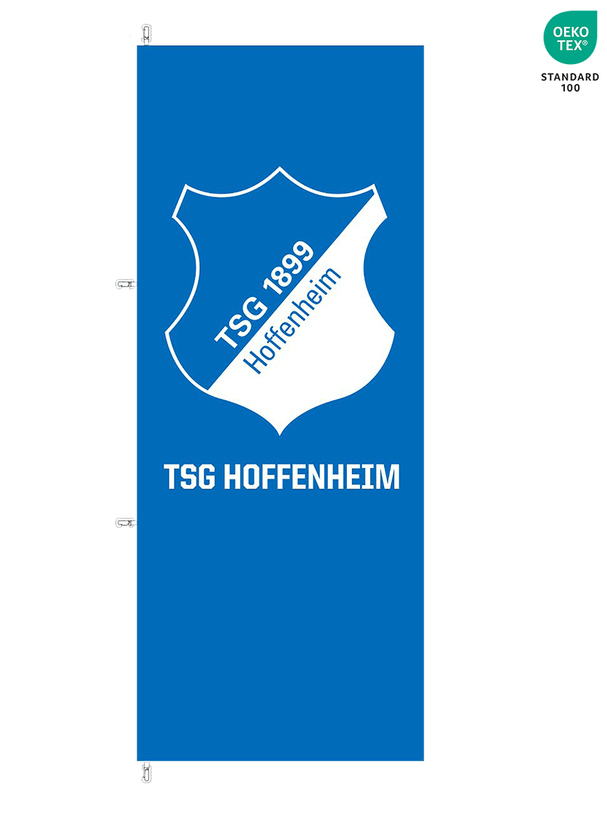 TSG hoist flag logo TSG hoist flag logo