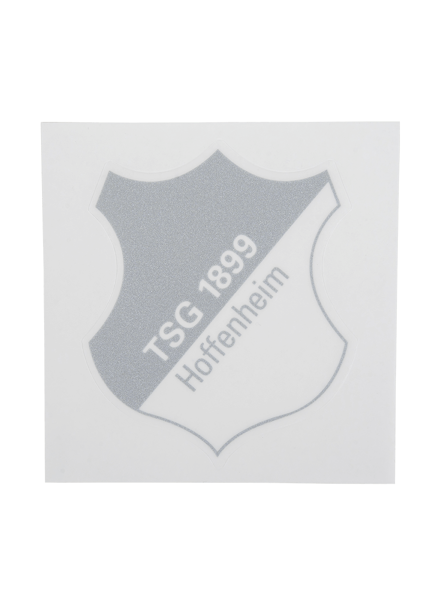 TSG-sticker logo silver TSG-sticker logo silver