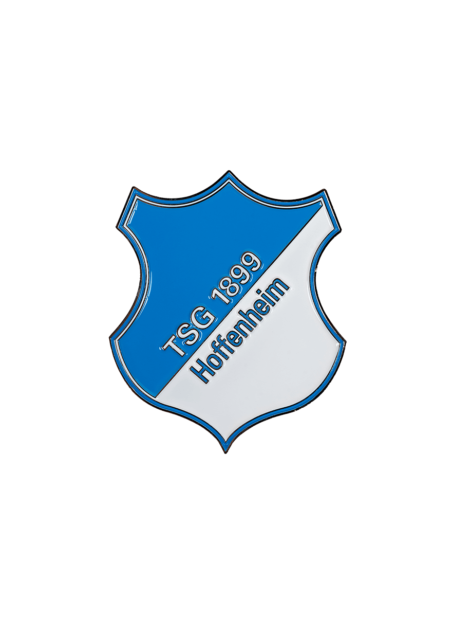TSG-magnet logo TSG-magnet logo