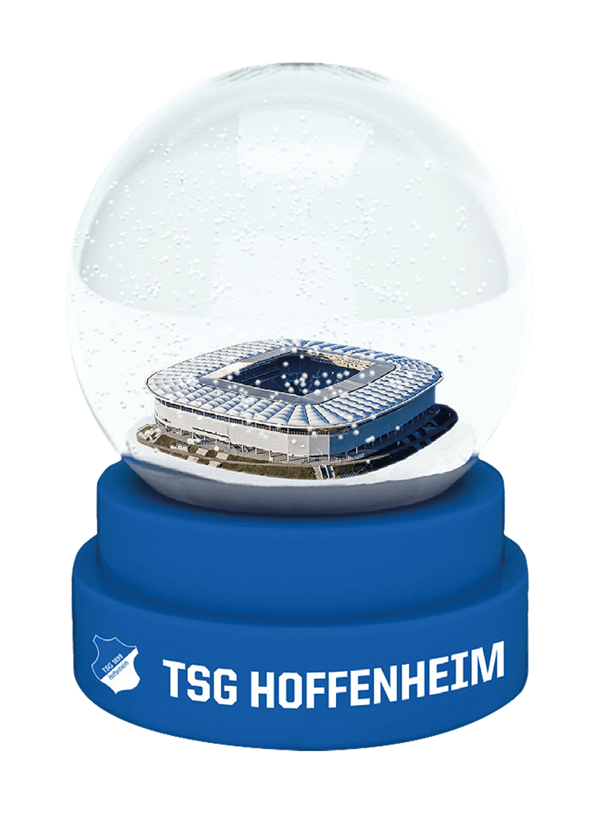 TSG snow globe arena TSG snow globe arena