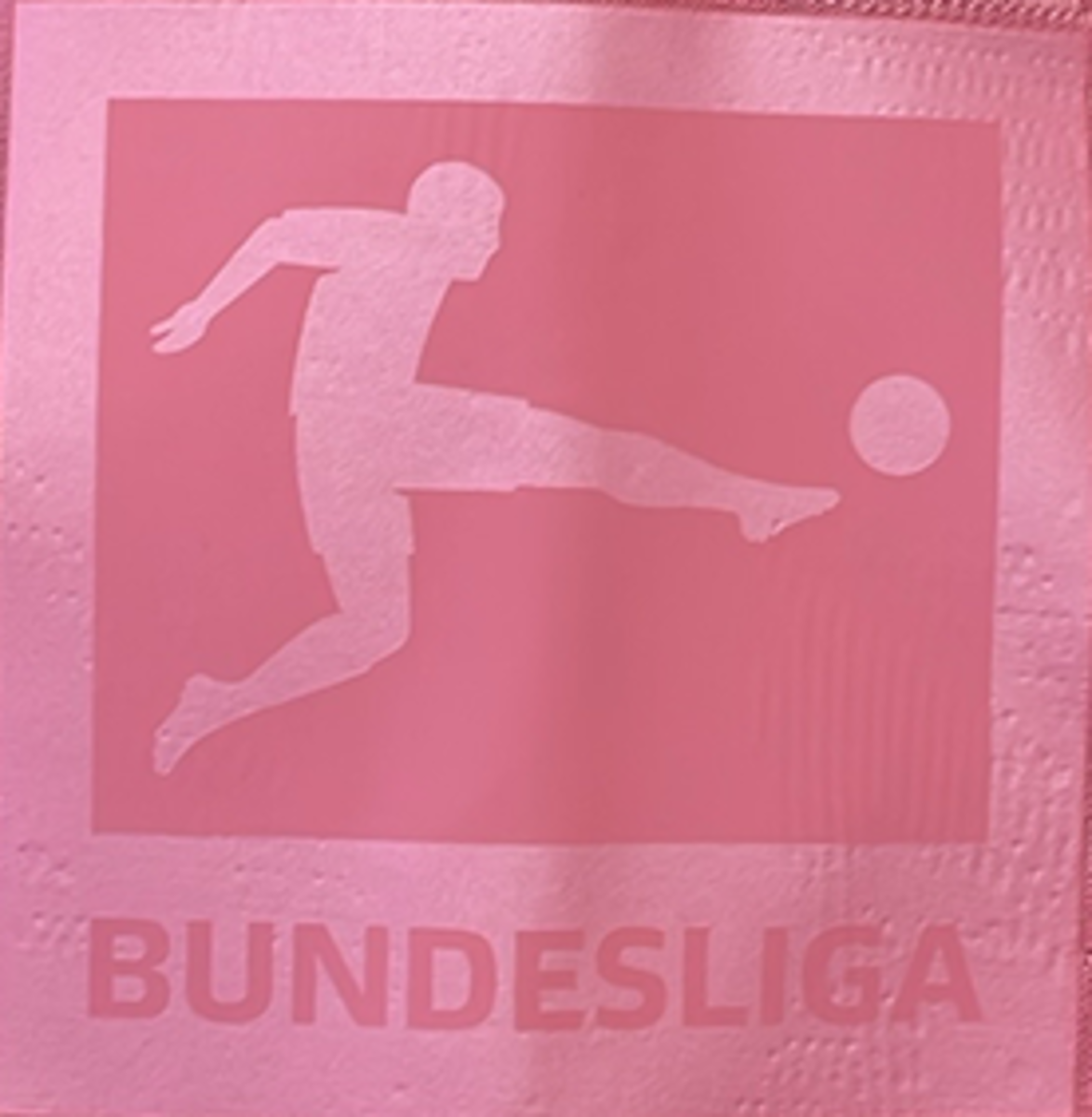 TSG_Sonderbundesligalogo TSG_Sonderbundesligalogo