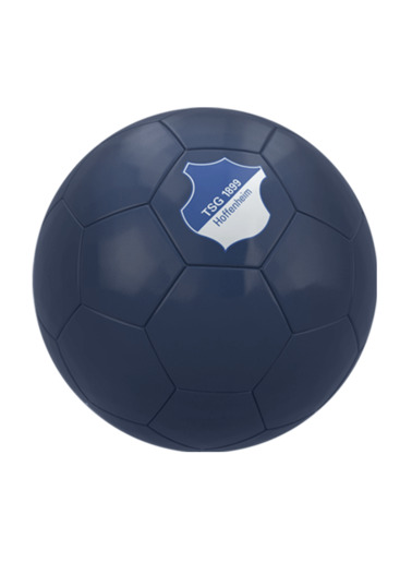 TSG-Soccer Ball Logo TSG-Soccer Ball Logo