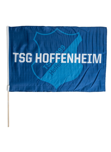 TSG-Stockfahne Logo TSG-Stockfahne Logo