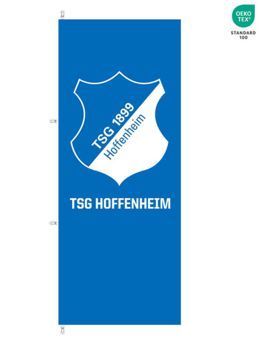 TSG-Hissfahne Logo TSG-Hissfahne Logo