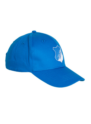 TSG-cap logo TSG-cap logo