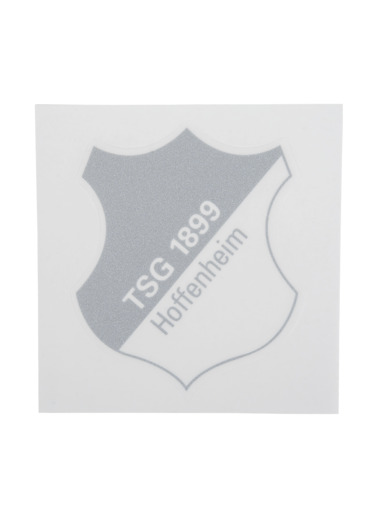 TSG-Aufkleber Logo silber TSG-Aufkleber Logo silber