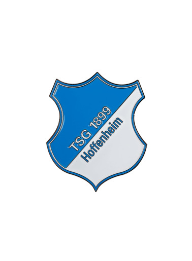 TSG-Magnet Logo TSG-Magnet Logo