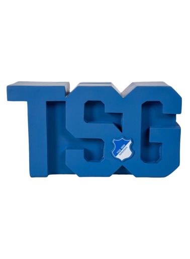TSG-Spardose Logo TSG-Spardose Logo