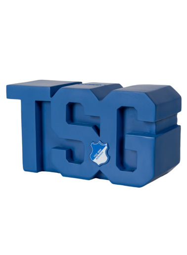 TSG-savings box logo TSG-savings box logo