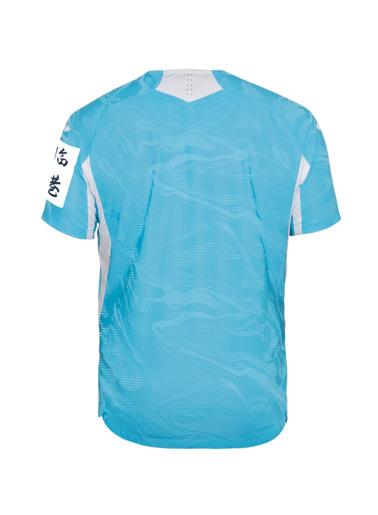 TSG-Auswärtstrikot 25/26, S TSG-Auswärtstrikot 25/26, S