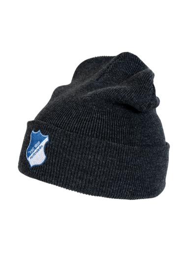 TSG-Beanie Logo grau TSG-Beanie Logo grau