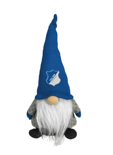 TSG-Wichtel TSG-Wichtel