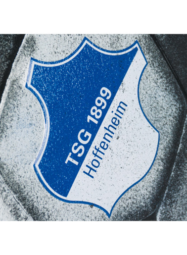 TSG-Blechschild Fußball TSG-Blechschild Fußball