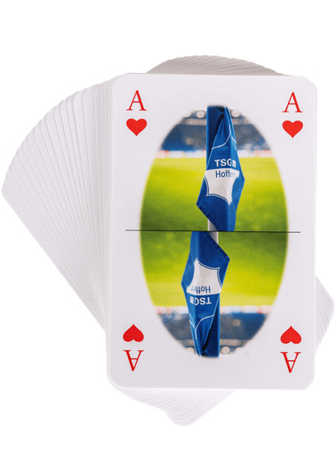 TSG-Skatspiel TSG-Skatspiel