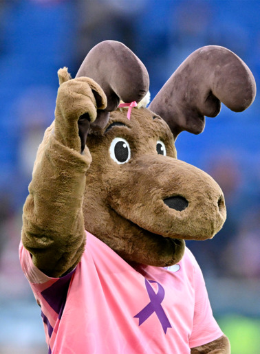 TSG Matchworn-Sondertrikot Hoffi 4XL TSG Matchworn-Sondertrikot Hoffi 4XL