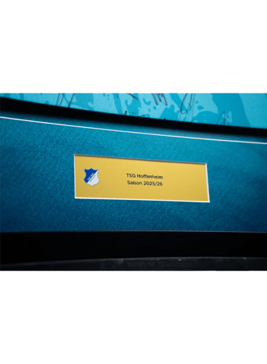 TSG-jersey frame 2025/26 away TSG-jersey frame 2025/26 away