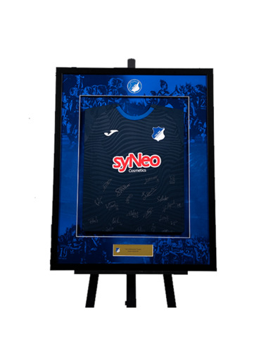 TSG-Trikotrahmen Frauen 2025/26 Bilder TSG-Trikotrahmen Frauen 2025/26 Bilder